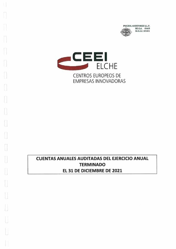 Cuentas anuales e Informe de auditorías 2021-CEEI Elche