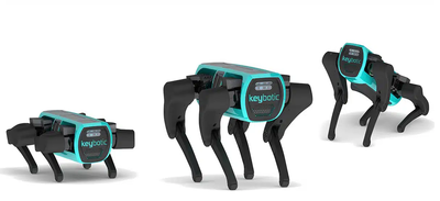 Keyper, el "perro robot" detector de fugas de gases
