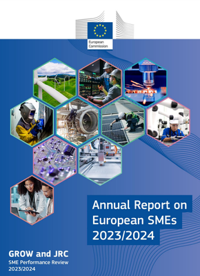 Informe anual de evaluacin del desempeo de las PYME 2023/2024