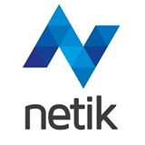 NETIK CONSULTING S.L
