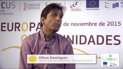 Entrevista Alfons Domínguez FIPCV15