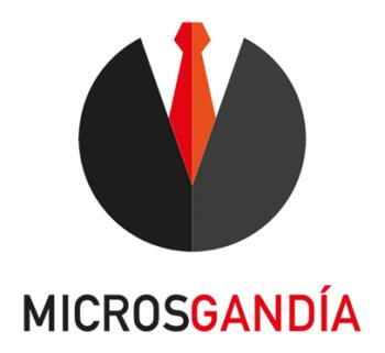 Agencia SEO Microsgandia SL