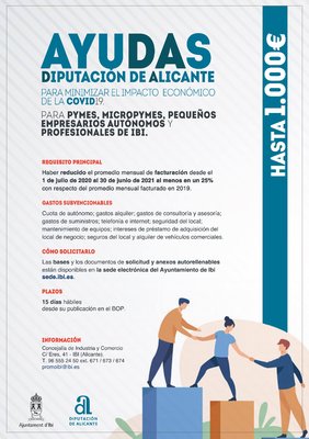 Bases de la Convocatoria