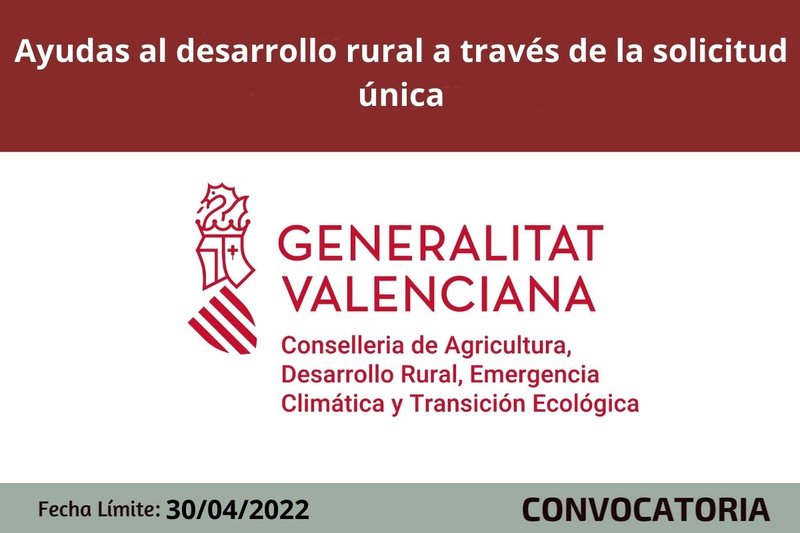 Ampliar imagen