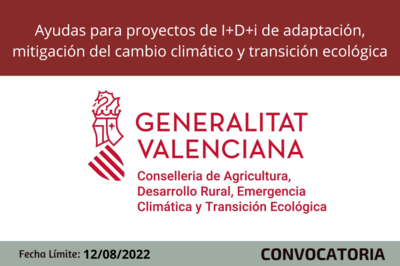 Ayudas para proyectos de I+D+i de adaptación, mitigación del cambio climático y transición ecológica