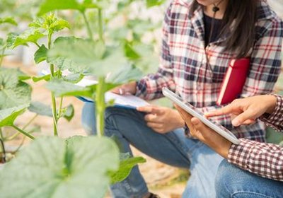 Subvenciones a la formación profesionales medio rural para 2024