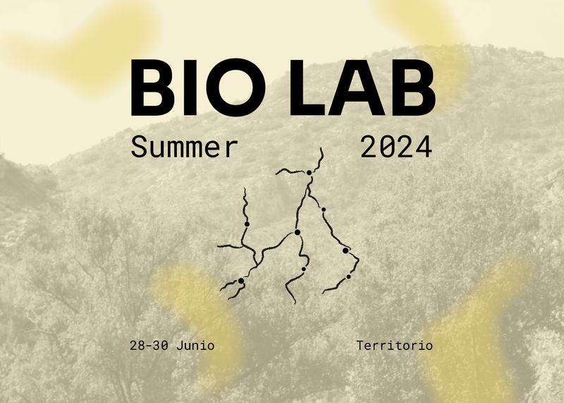 Summer Bio Lab 2024 cabecera