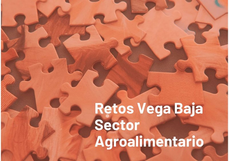 RETOS VEGA BAJA ALIMENTACION