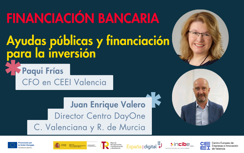 Ayudas pblicas y financiacin para la inversin. Financiacin bancaria