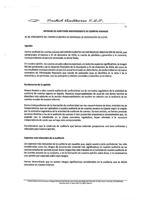 Cuentas anuales e informe de auditorías CEEI Elche 2024