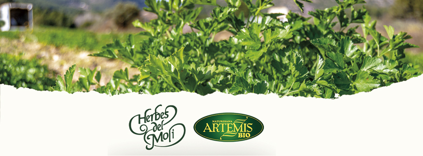 Herbes del Moli S.L.