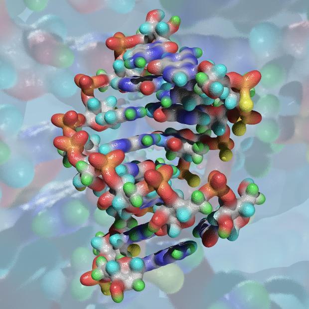 Bioval, La apuesta de la biotecnolog�a en la Comunitat Valenciana