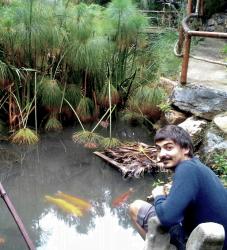 zevila