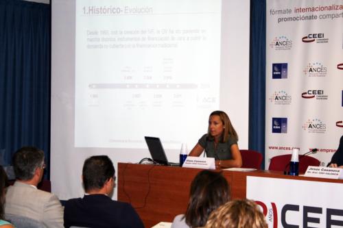 Elena Camarero, T�cnico de Ivace Financiaci�n durante su intervenci�n en el foro
