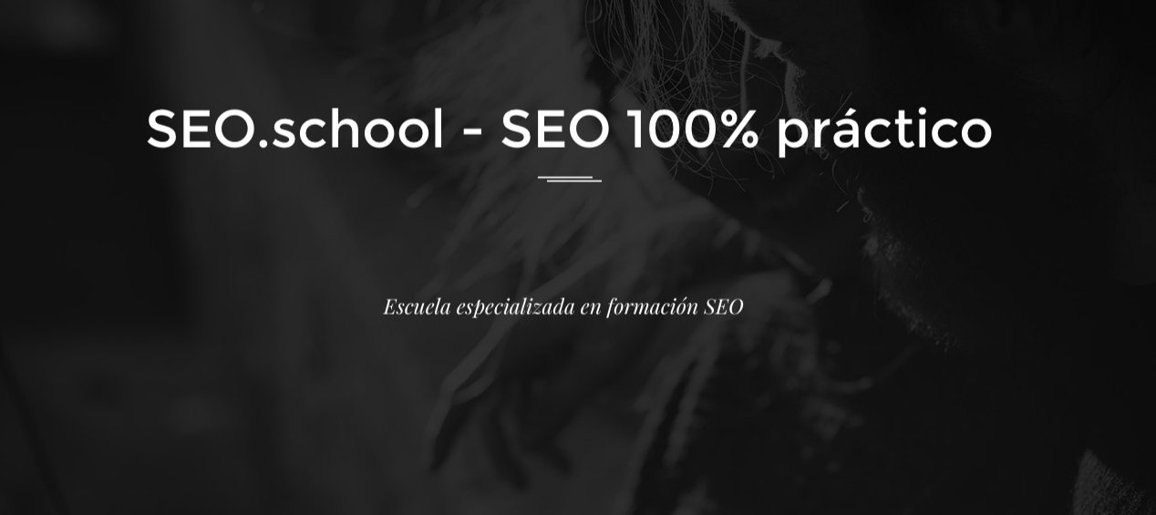 SEO school S.L