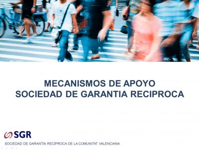 Mecanismos de Apoyo SOCIEDAD DE GARANTIA RECIPROCA
