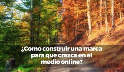 ¿Como construir una marca para que crezca en el medio online?