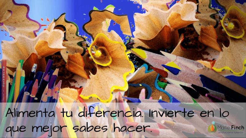 programa formación