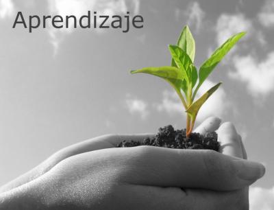 Las 5 claves del éxito empresarial