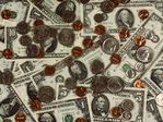 Fijaci�n precios ( 2010 )
