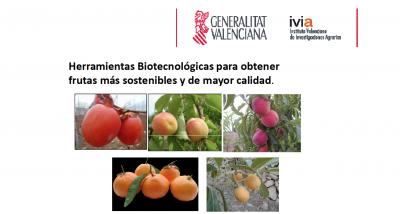 ponencia Mª Luisa Badenes