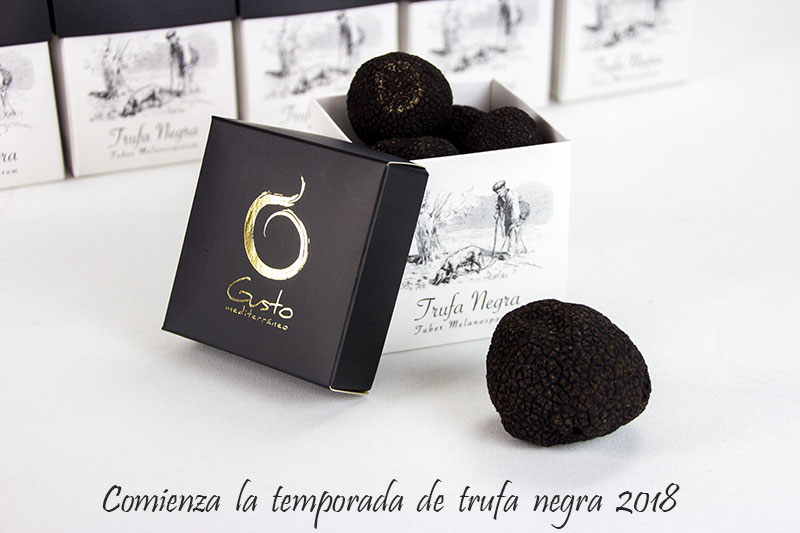 Comienza la temporada de Trufa Negra de Teruel