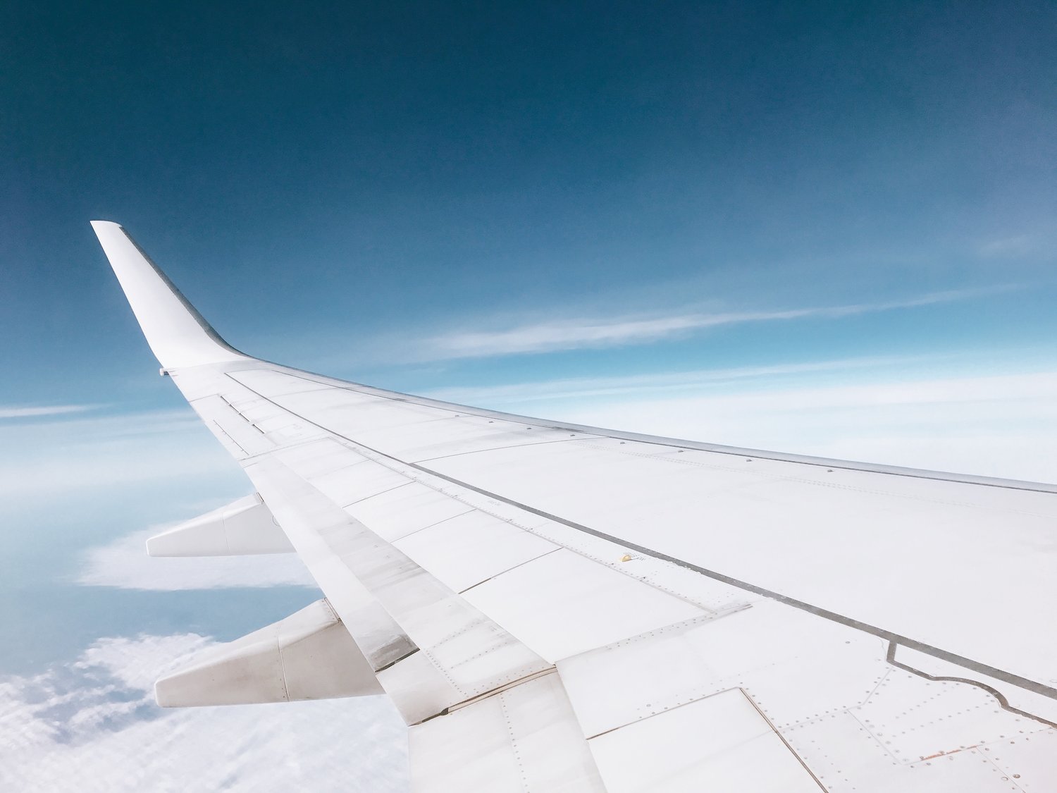 ¿Cuáles son los requisitos para viajar con mascotas según la aerolínea?
