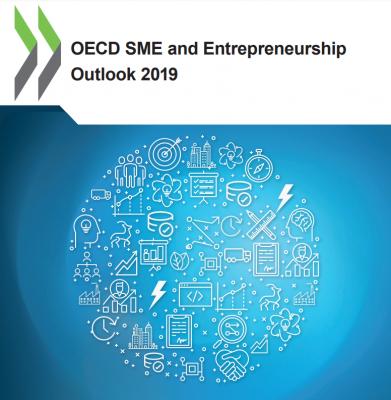 Perspectivas de la OCDE para las PYME y el esp�ritu empresarial 2019