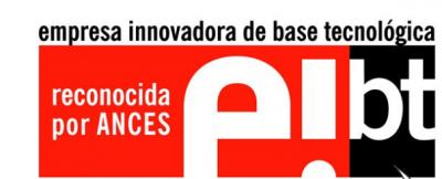 Plantilla-Resumen-Ejecutivo-Candidaturas-EIBT