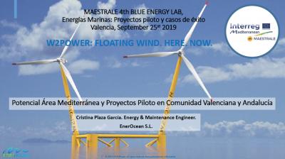 Potencial �rea Mediterr�nea y Proyectos Piloto C. Valenciana y Andaluc�a.