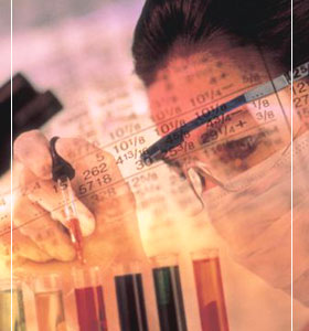 Ayudas a la Innovaci�n y Desarrollo