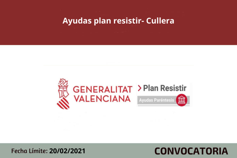 Ampliar imagen