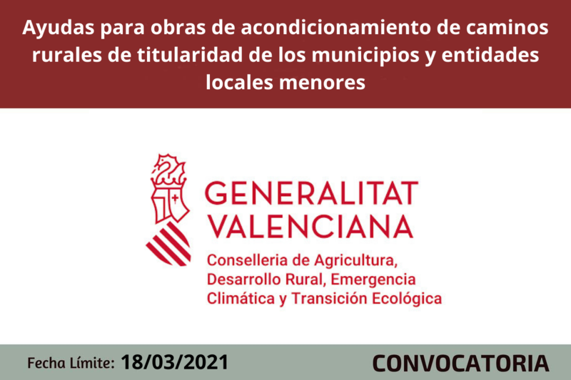 Ampliar imagen