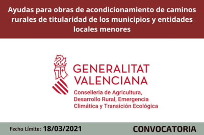 Bases de la convocatoria