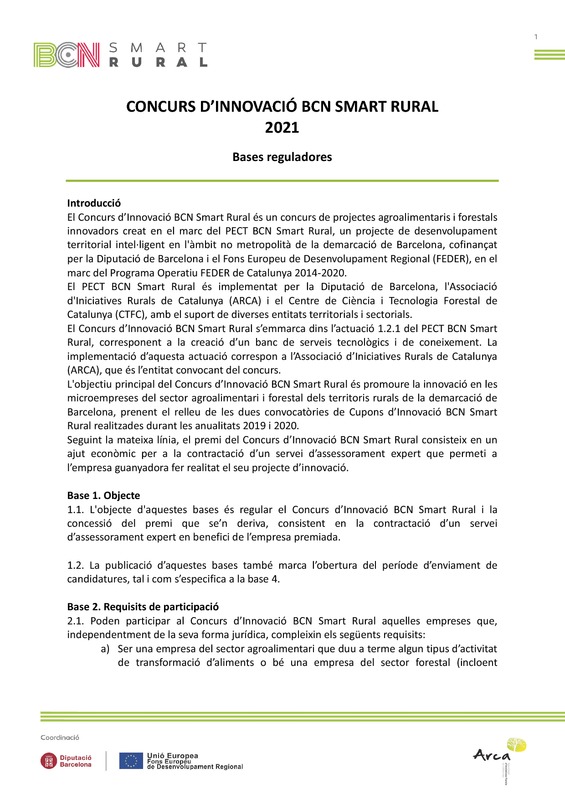 Bases de la Convocatoria