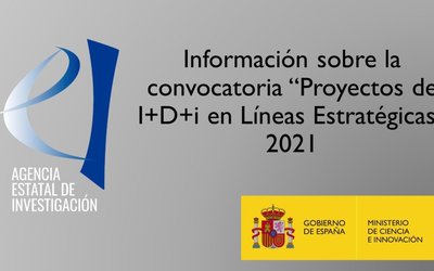 Presentaci�n de la Nueva Convocatoria de Proyectos en L�neas Estrat�gicas