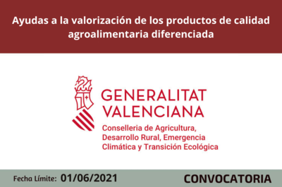 Bases de la Convocatoria