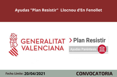 Bases de la convocatoria