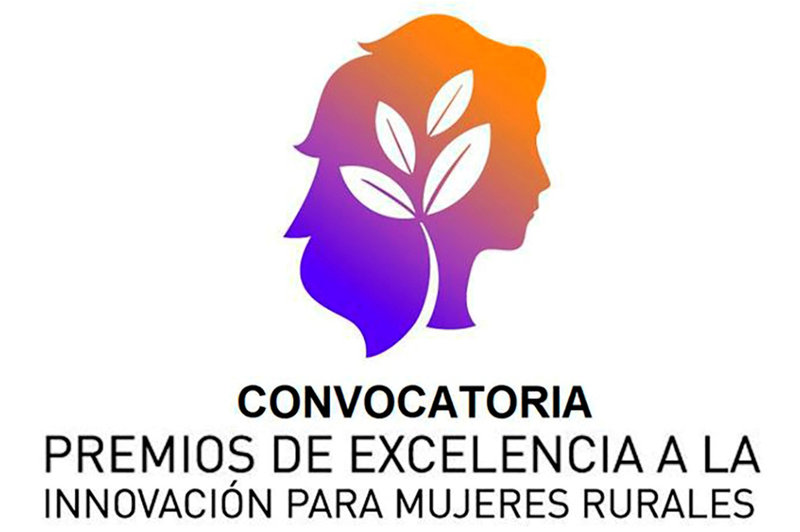 Ampliar imagen