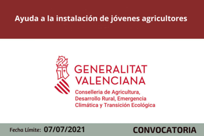Bases de la Convocatoria