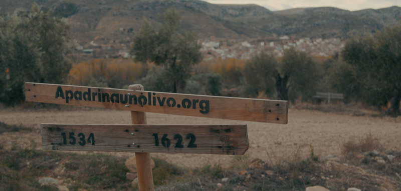 El renacer de los pueblos de Teruel, entre olivos rescatados y energas renovables