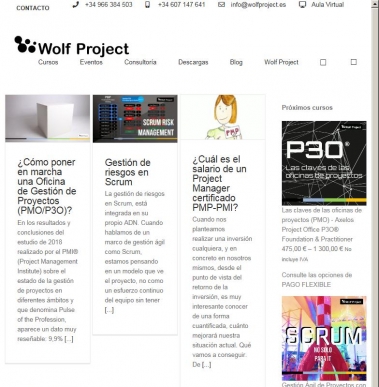 PMP, RISK, Primavera - El Blog de Angel Njera - Wolf Project