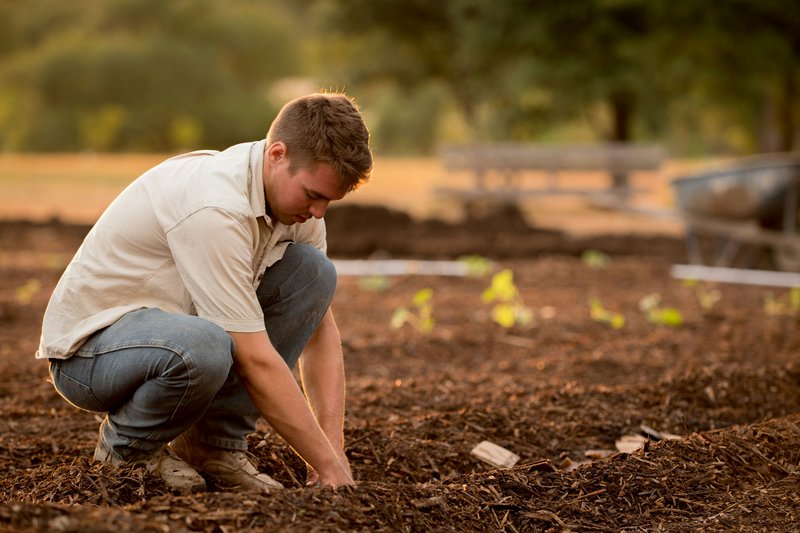 Formaci�n Agraria y Manipulaci�n de Alimentos 👨‍🌾👨‍🌾